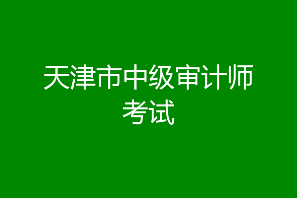 天津市中级审计师考试