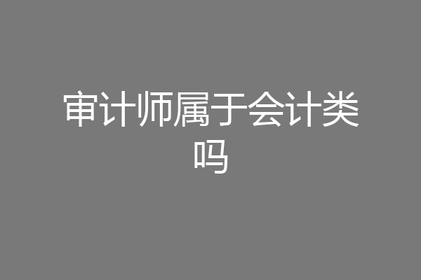 审计师属于会计类吗