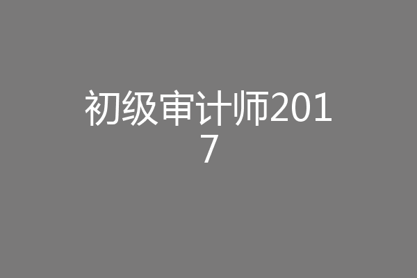 初级审计师2017