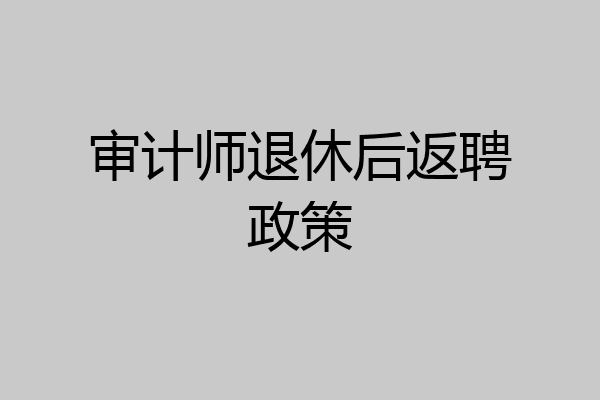 审计师退休后返聘政策