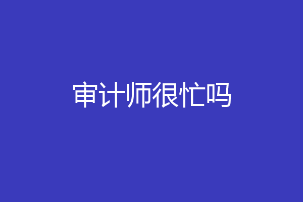 审计师很忙吗