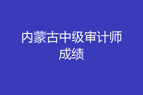 内蒙古中级审计师成绩