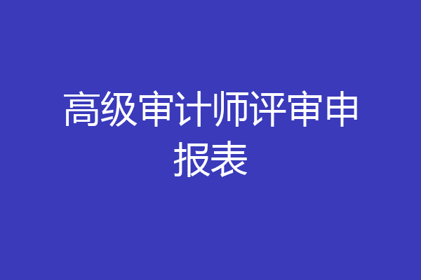 高级审计师评审申报表