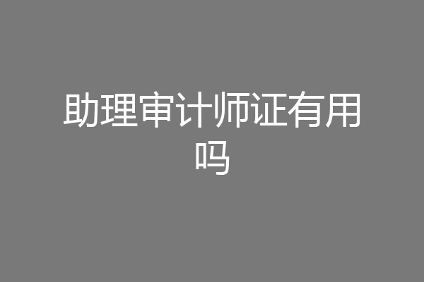 助理审计师证有用吗