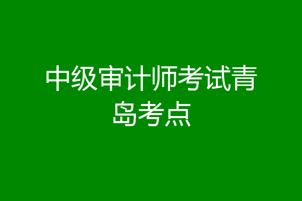 中级审计师考试青岛考点