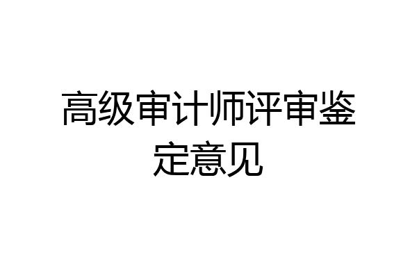 高级审计师评审鉴定意见