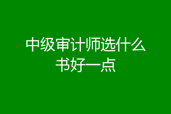 中级审计师选什么书好一点