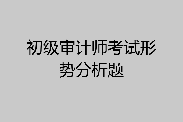 初级审计师考试形势分析题