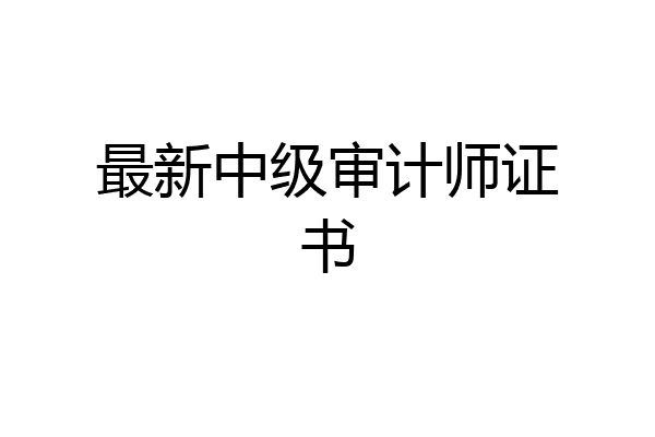 最新中级审计师证书