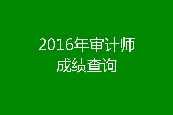 2016年审计师成绩查询