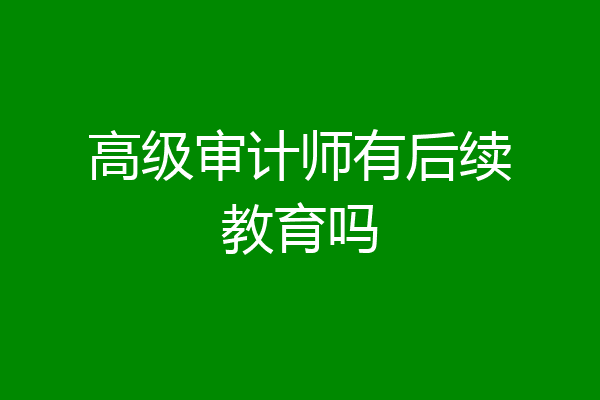 高级审计师有后续教育吗