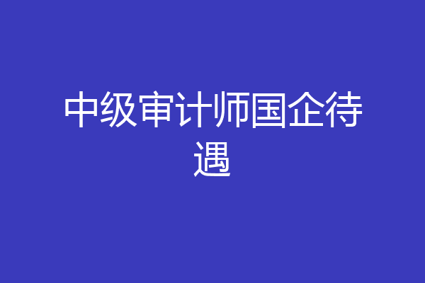 中级审计师国企待遇