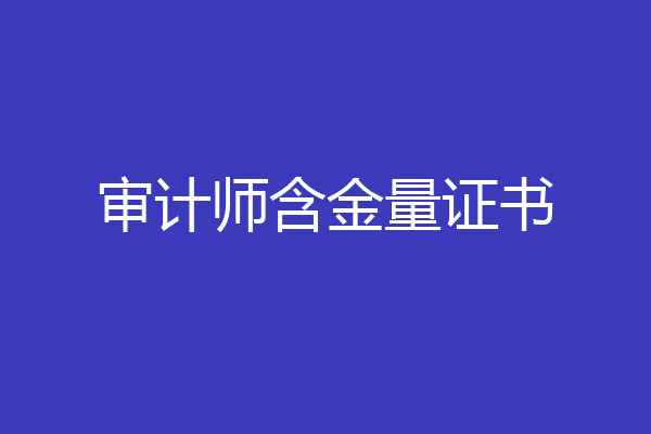审计师含金量证书