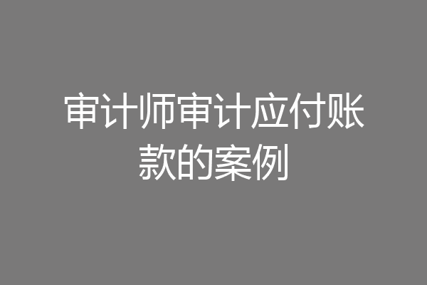 审计师审计应付账款的案例