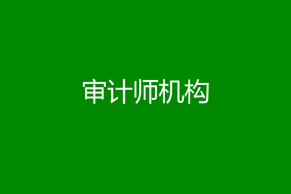 审计师机构