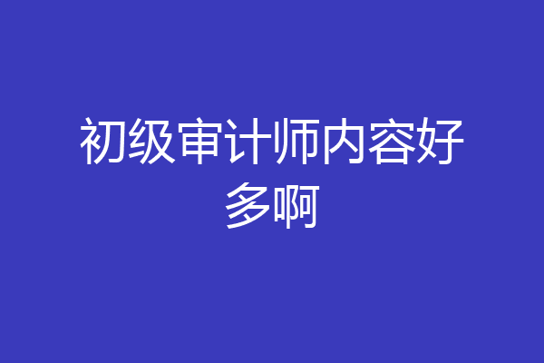 初级审计师内容好多啊