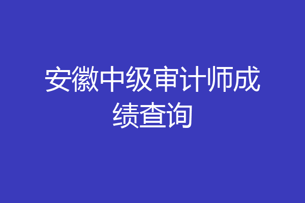 安徽中级审计师成绩查询