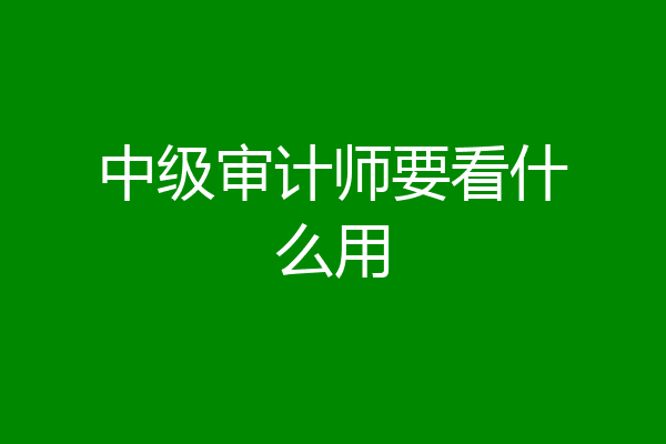 中级审计师要看什么用