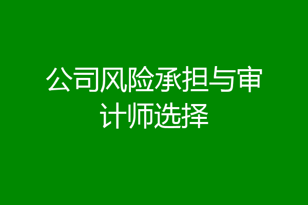 公司风险承担与审计师选择