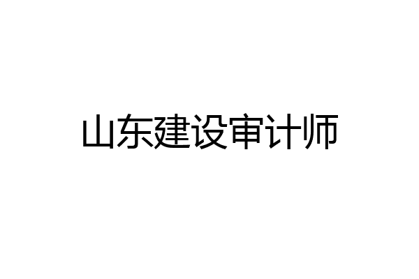 山东建设审计师