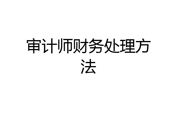 审计师财务处理方法