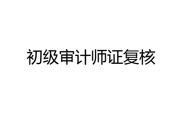 初级审计师证复核