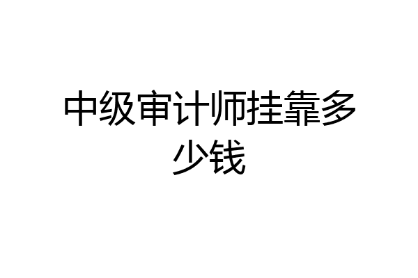 中级审计师挂靠多少钱
