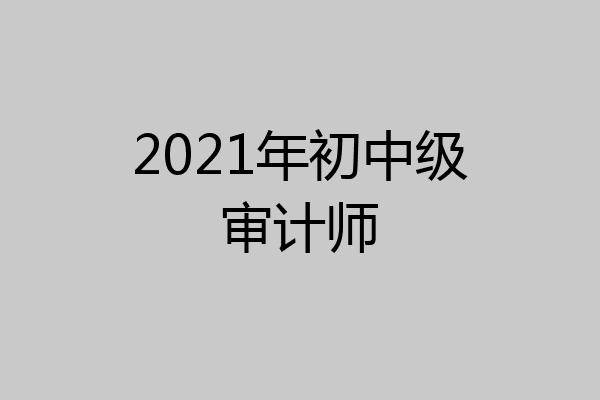 2021年初中级审计师