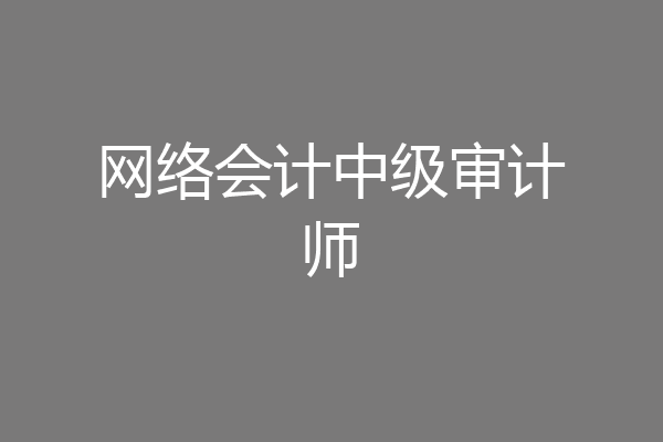 网络会计中级审计师