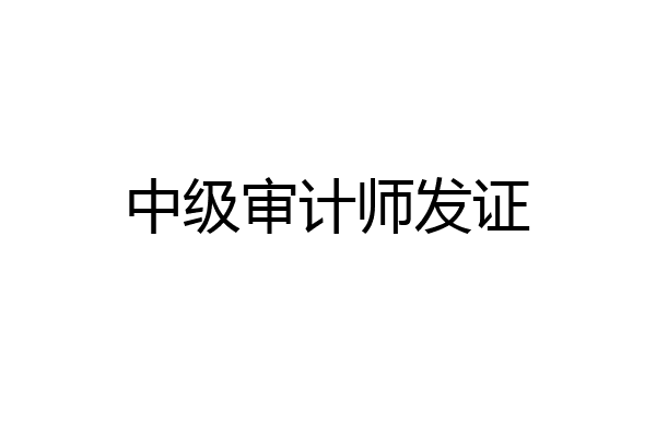 中级审计师发证