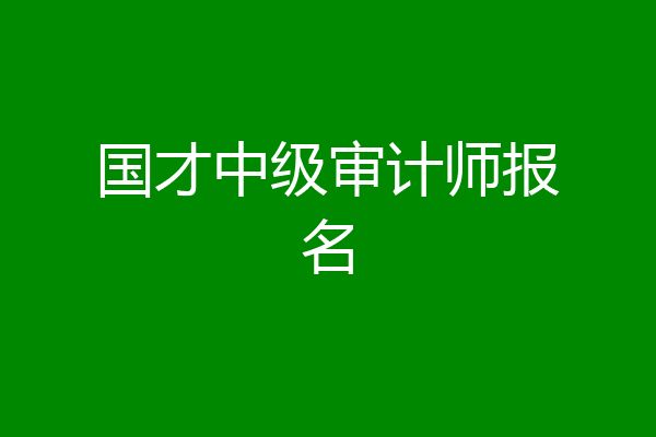 国才中级审计师报名