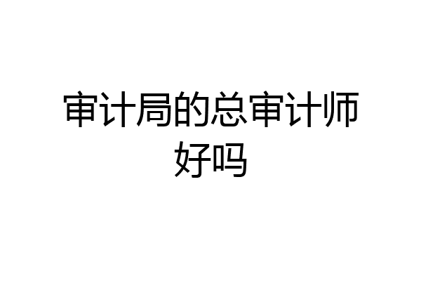 审计局的总审计师好吗
