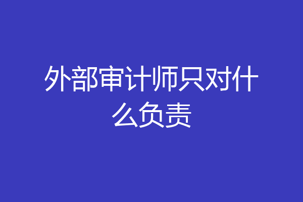 外部审计师只对什么负责