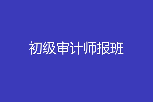 初级审计师报班