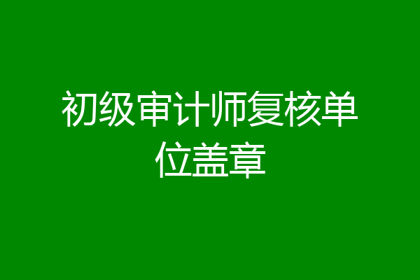 初级审计师复核单位盖章