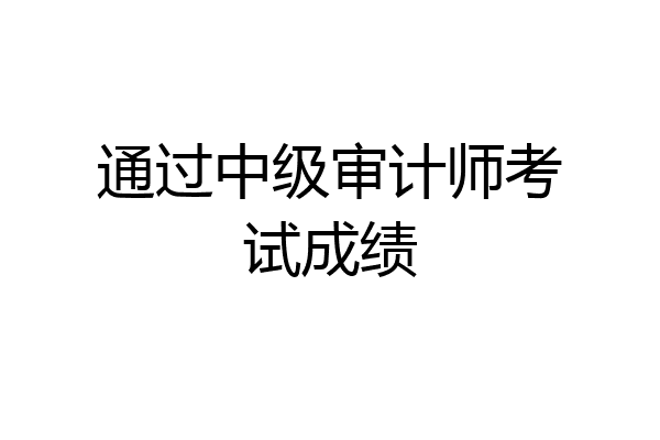 通过中级审计师考试成绩