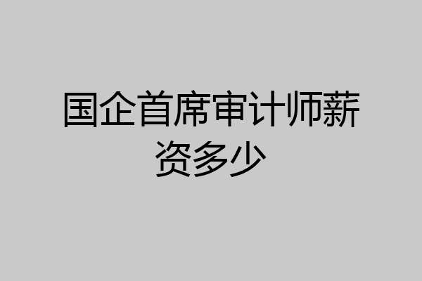 国企首席审计师薪资多少
