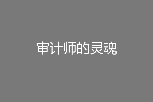 审计师的灵魂