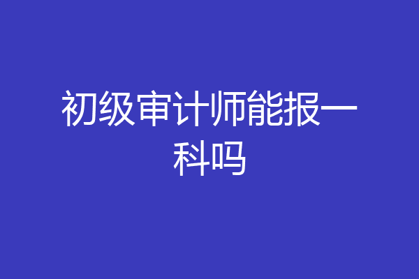 初级审计师能报一科吗
