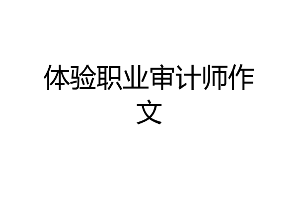 体验职业审计师作文