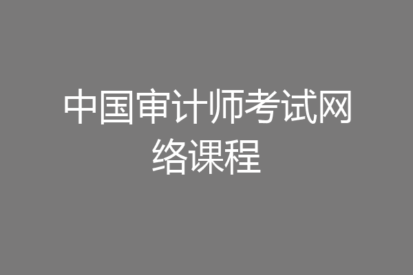 中国审计师考试网络课程
