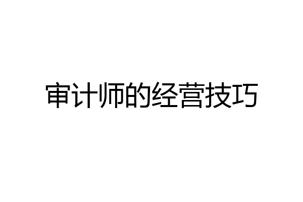 审计师的经营技巧