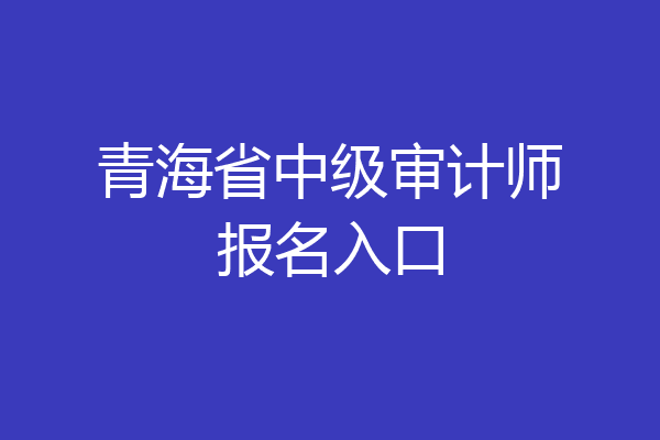 青海省中级审计师报名入口