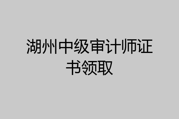 湖州中级审计师证书领取