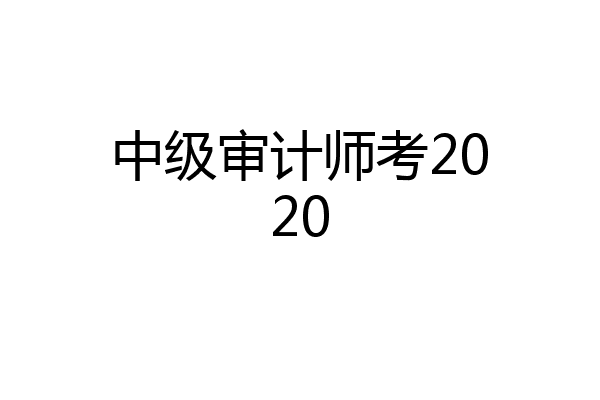 中级审计师考2020