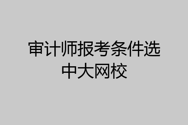 审计师报考条件选中大网校