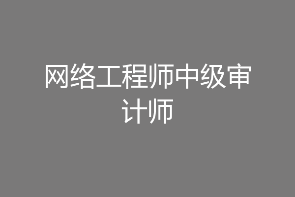 网络工程师中级审计师