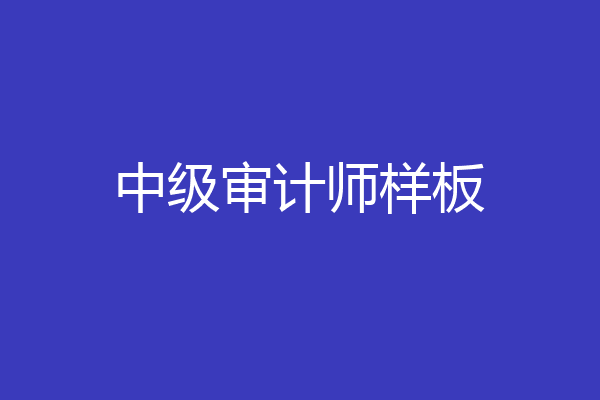 中级审计师样板