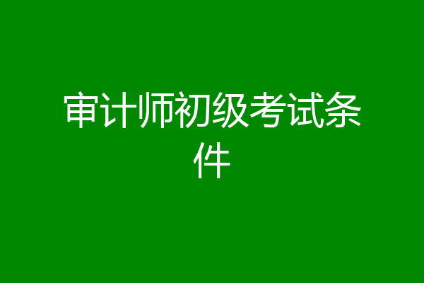 审计师初级考试条件
