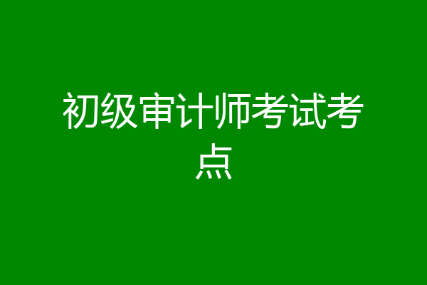 初级审计师考试考点